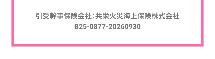 引受幹事保険会社:共栄火災海上保険株式会社
B25-0877-20260930