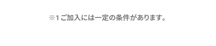 ※1ご加入には一定の条件があります。