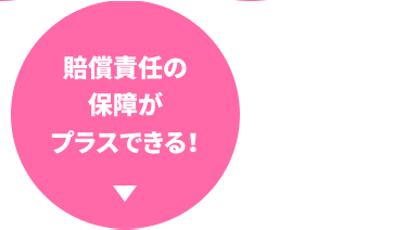 賠償責任の
保障が
プラスできる!