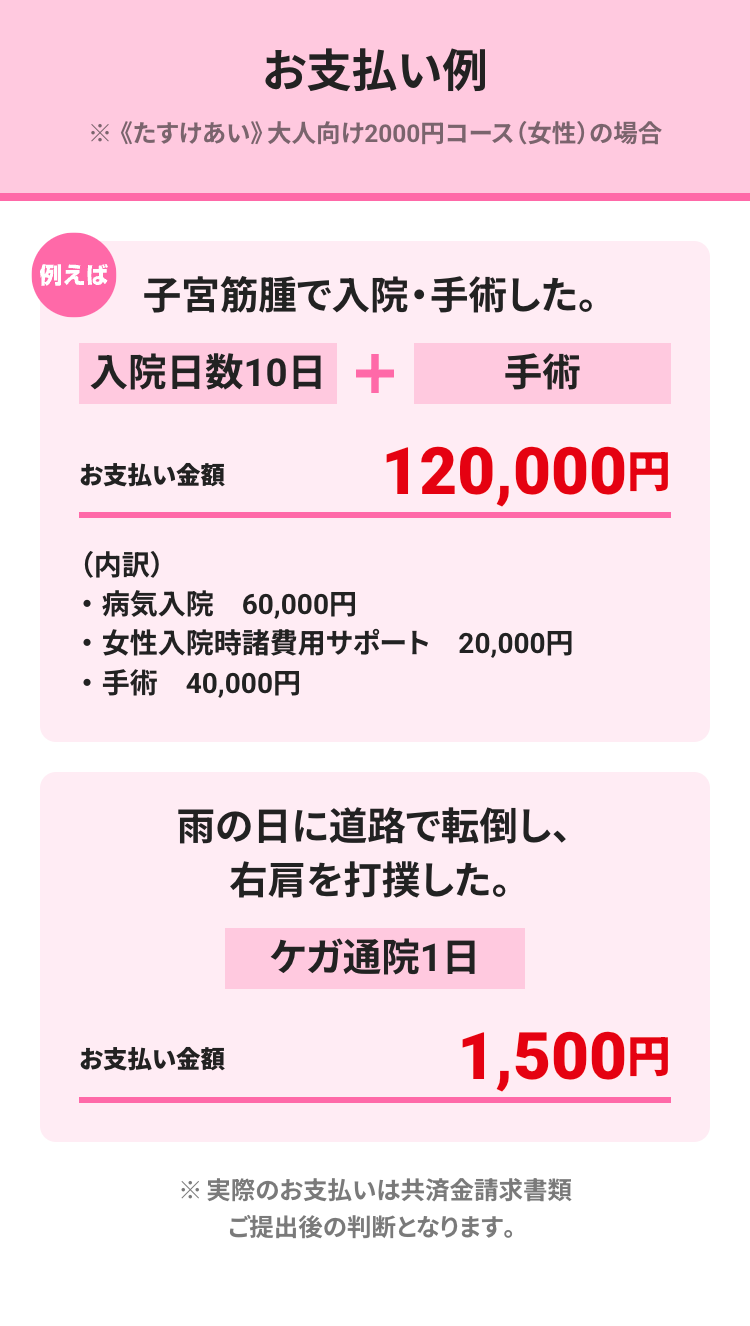 お支払い例
※《たすけあい》 大人向け 2000円コース(女性)の場合
例えば
子宮筋腫で入院・手術した。
入院日数10日 +
手術
お支払い金額
120,000円
(内訳)
•
•
•
・病気入院 60,000円
・女性入院時諸費用サポート 20,000円
・手術 40,000円
雨の日に道路で転倒し、
右肩を打撲した。
ケガ通院1日
お支払い金額
1,500円
※実際のお支払いは共済金請求書類
ご提出後の判断となります。