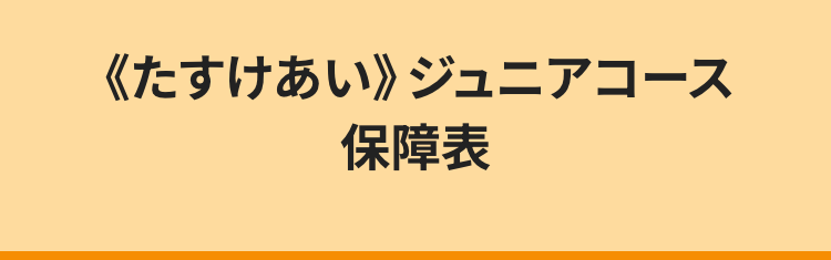《たすけあい》 ジュニアコース
保障表